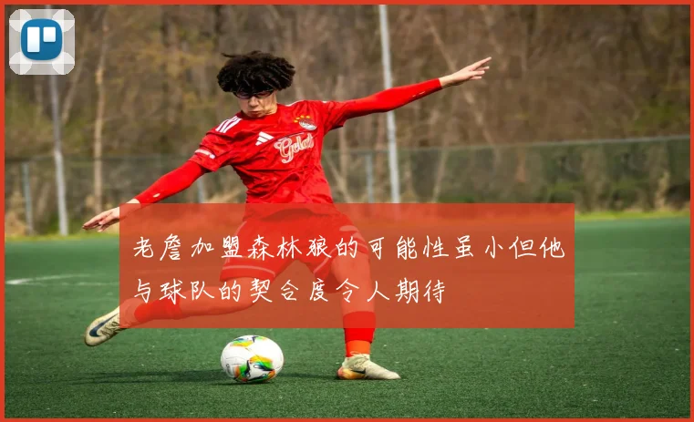 老詹加盟森林狼的可能性虽小但他与球队的契合度令人期待