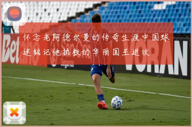 怀念老阿德尔曼的传奇生涯中国球迷铭记他执教的华丽国王进攻